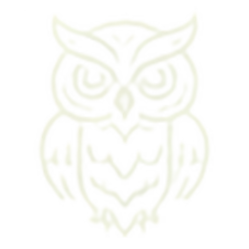Tattoo Owl Studio